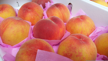 peach-g6f4e6b2a6_1920.jpg